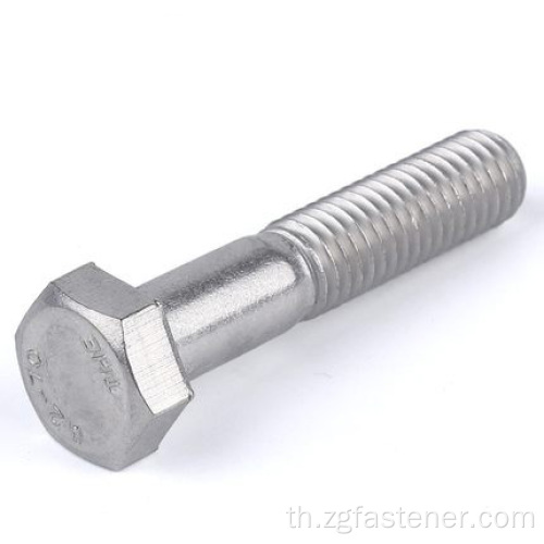 สแตนเลส 316 Hexagon Head Bolts DIN931